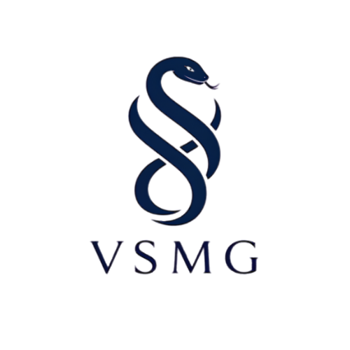 VSMG